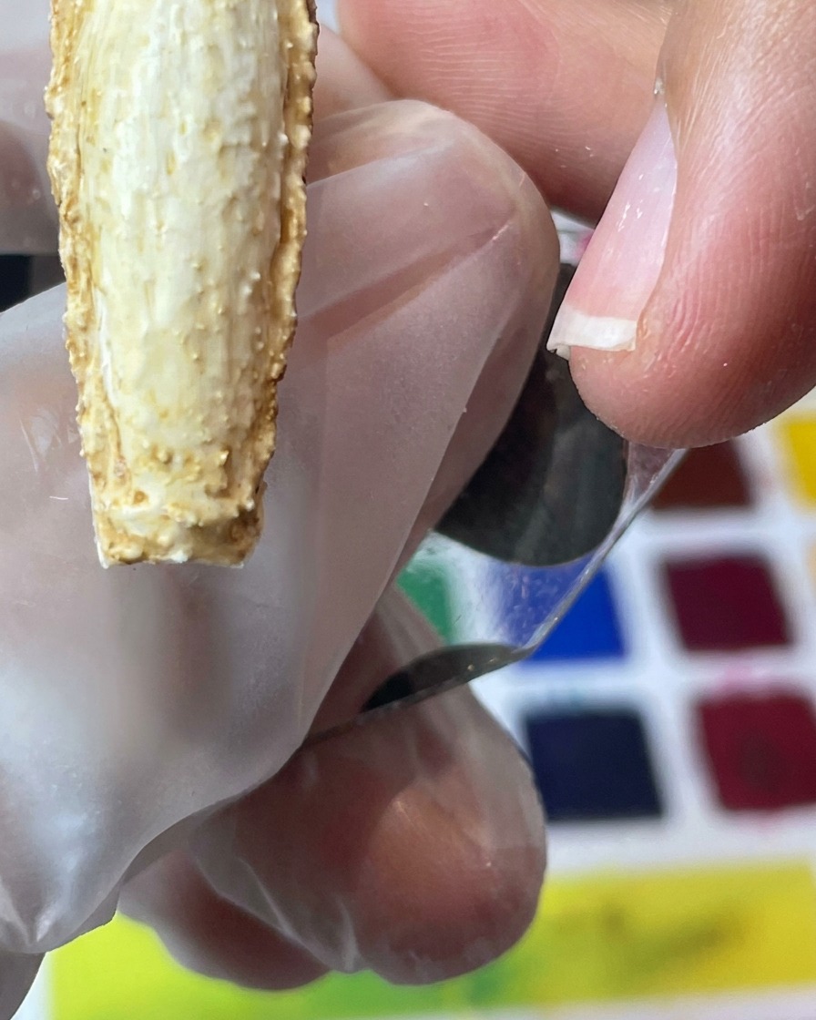 Dettaglio di un pennello che applica pigmento marrone scuro sui bordi testurizzati dellunghia.
