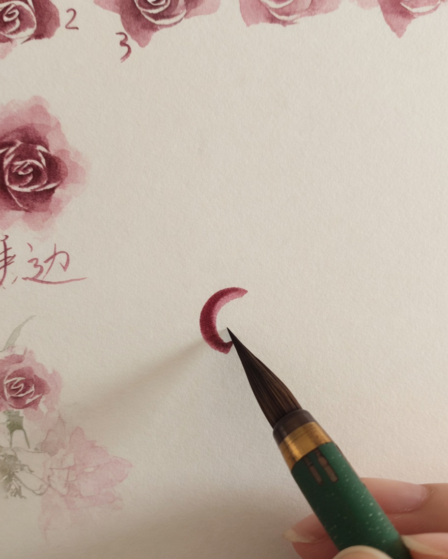 Un pennello da acquerello che aggiunge piccole e sottili pennellate rosa attorno al centro della rosa precedentemente dipinto.