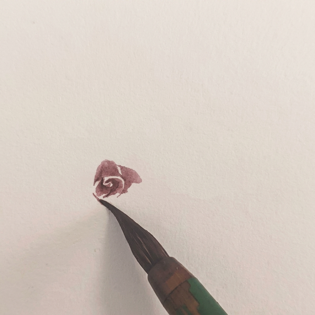 La rosa ad acquerello ora ha un ulteriore strato di petali che si estende verso il lato sinistro.